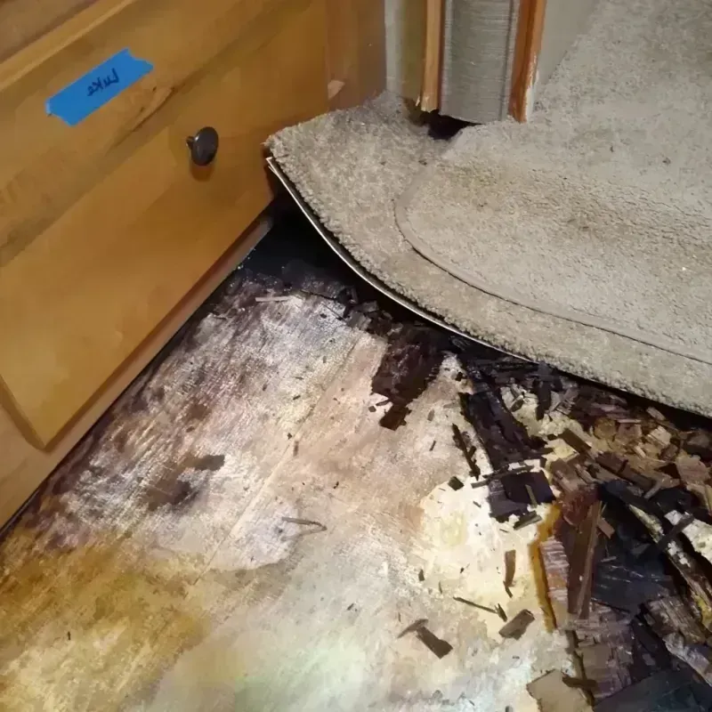 Wood Floor Water Damage in Tiger Point, FL